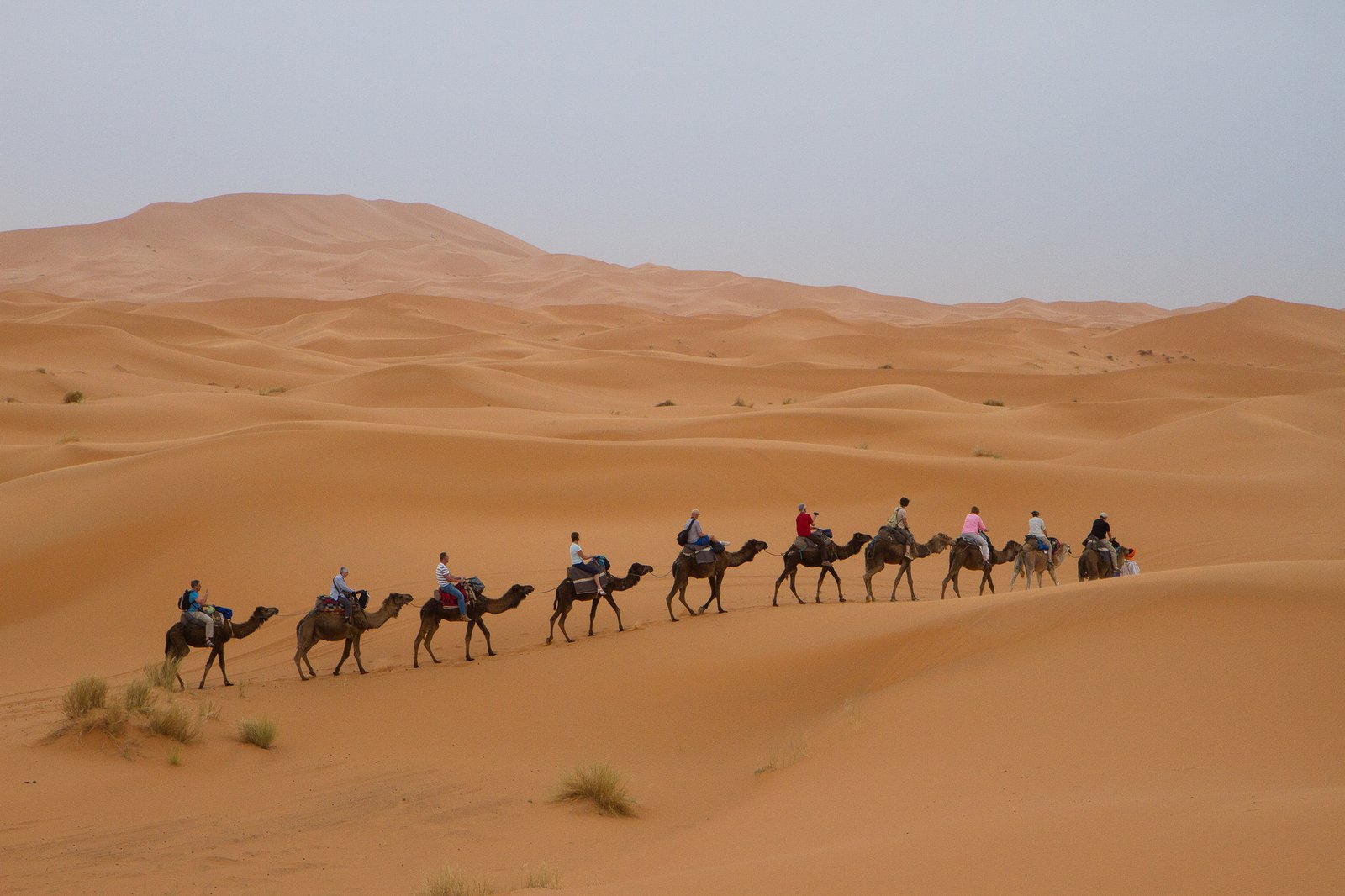 4 Days Tour of Fes Merzouga Marrakech - Hotel Appart Arganier Tafraout